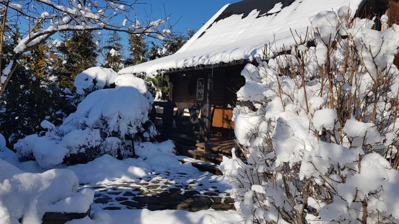 Chata Starych Znajomych Sanok Bagian luar foto